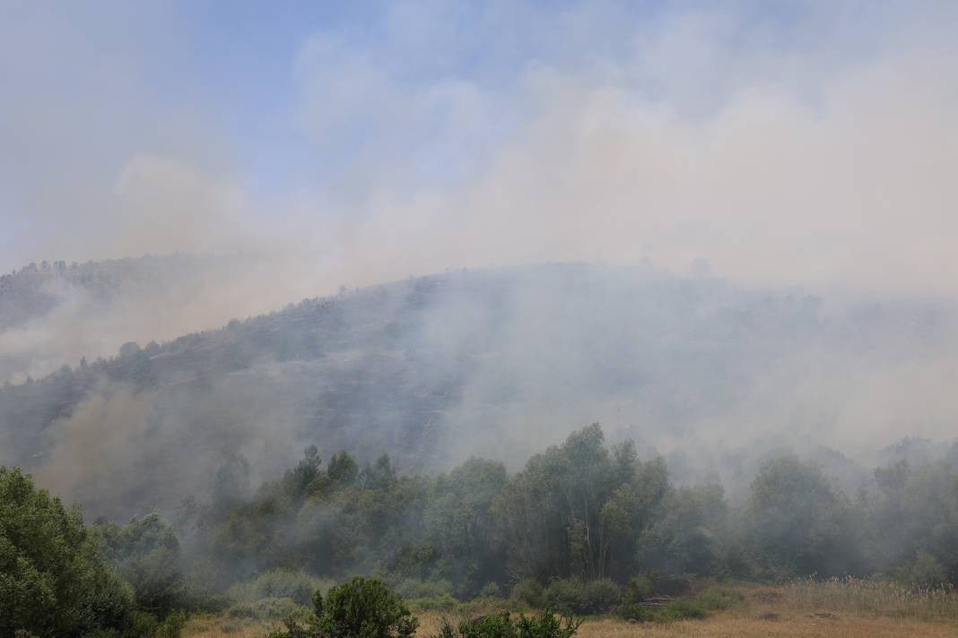 Elazığ'da orman yangını - Resim: 49